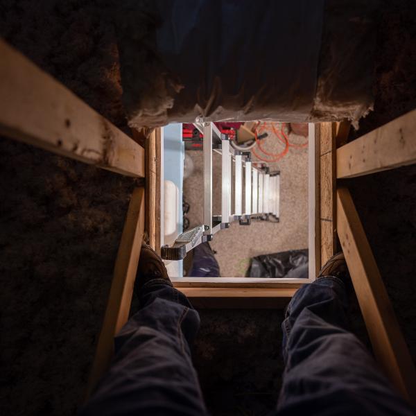 loft-ladder-from-the-hatch